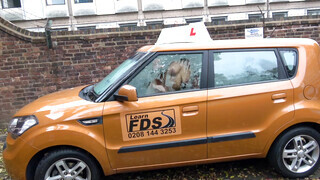 Fake Driving School - Louise Lee imádja a termetes kukacot