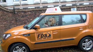 Fake Driving School rá spriccelek a gigantikus csoki faszodra